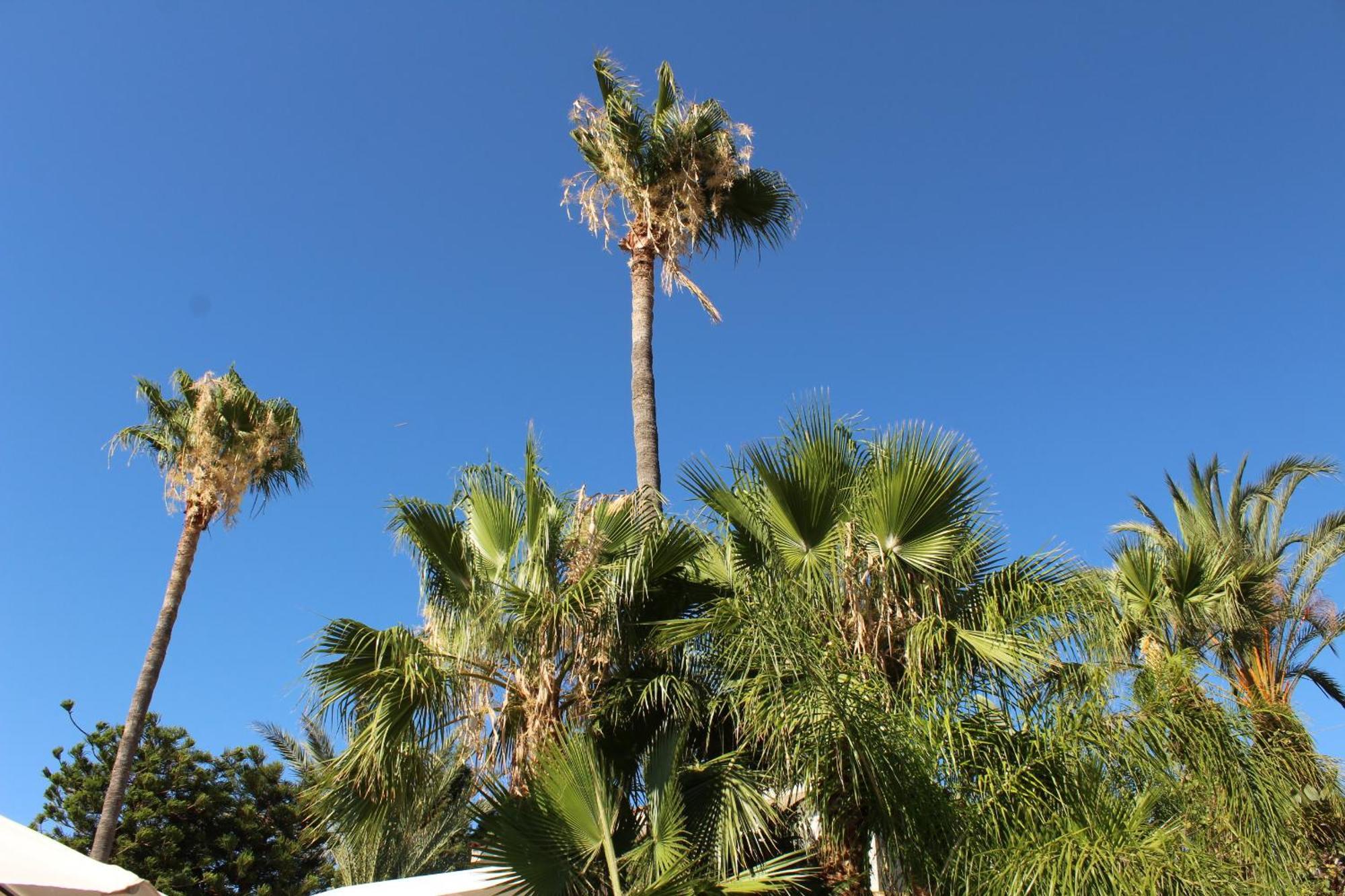 St.George'S Country Retreat Villa Limassol Luaran gambar
